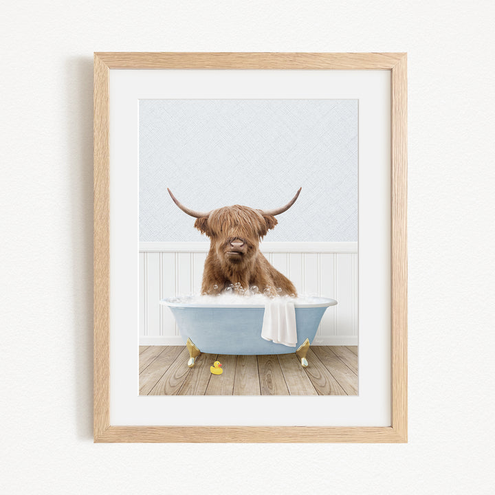 A brown Highland cow with large horns is sitting in a blue bathtub filled with water, surrounded by yellow rubber duckies.