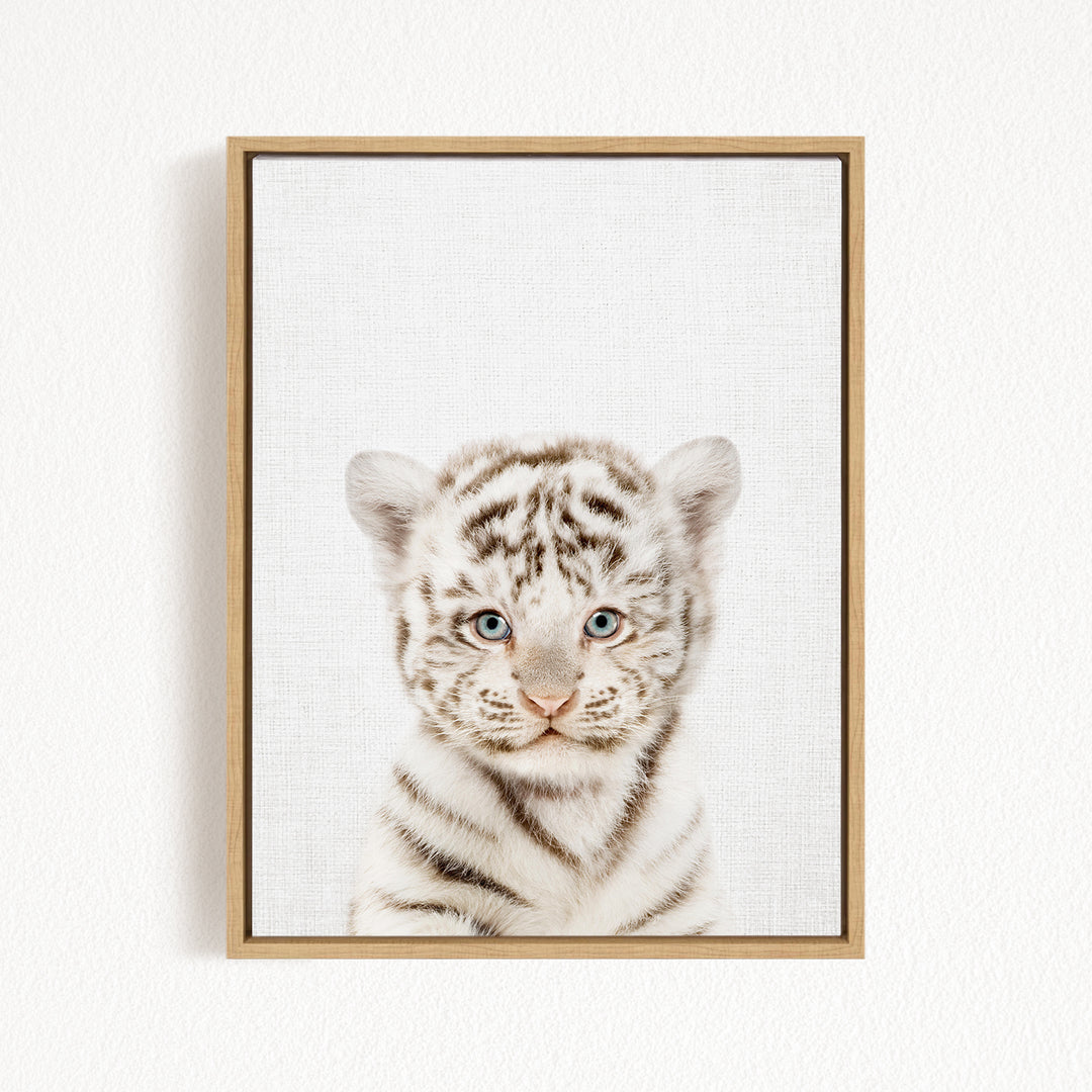 A young tiger cub with striking blue eyes and a playful expression is the focal point of the framed image.