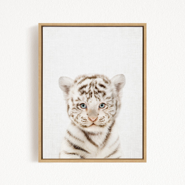 A young tiger cub with striking blue eyes and a playful expression is the focal point of the framed image.