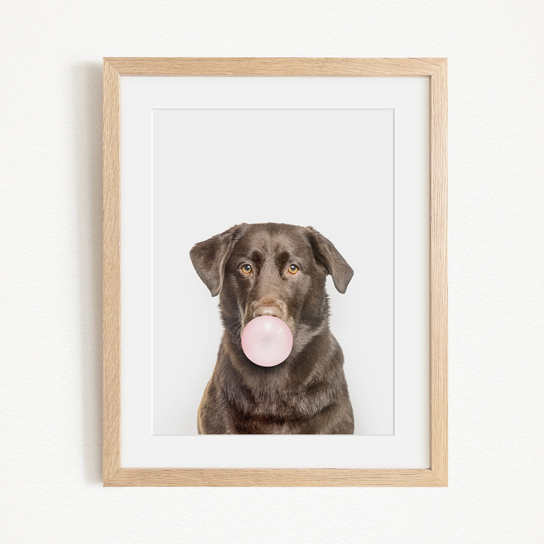 A brown dog is blowing a bubble with a pink bubble gum bubble.