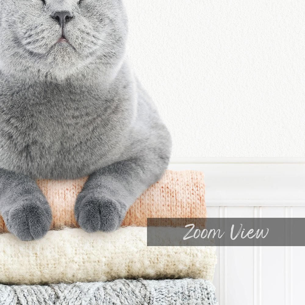 A gray cat sitting on top of a pile of clothes, with a white wall in the background.