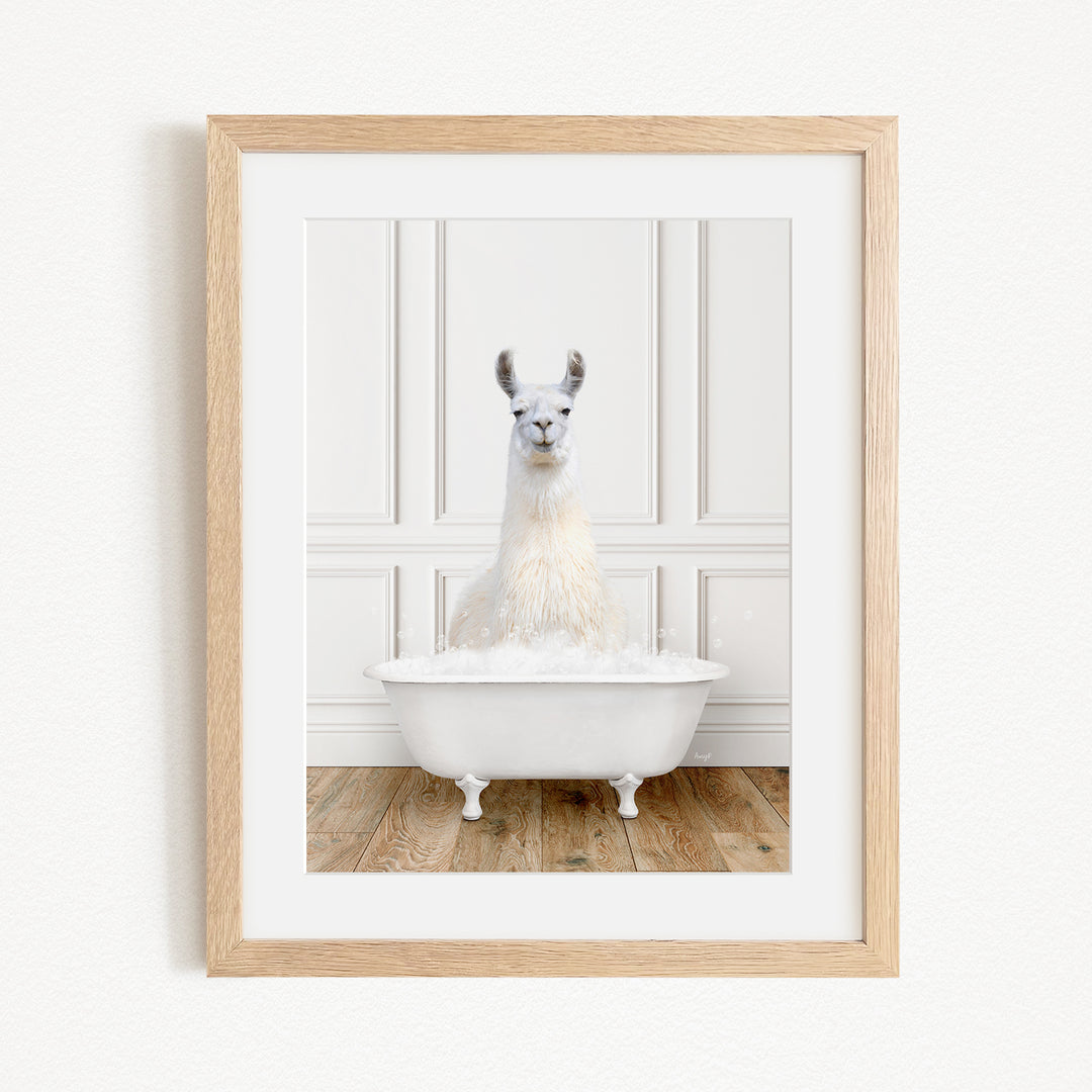 A white llama sitting in a white bathtub filled with bubbles, as depicted in a framed image.