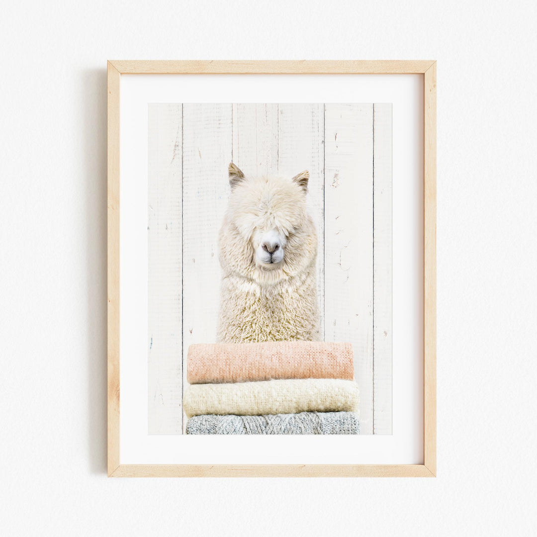 A fluffy white alpaca sits atop a stack of colorful blankets, creating a cozy and inviting scene.