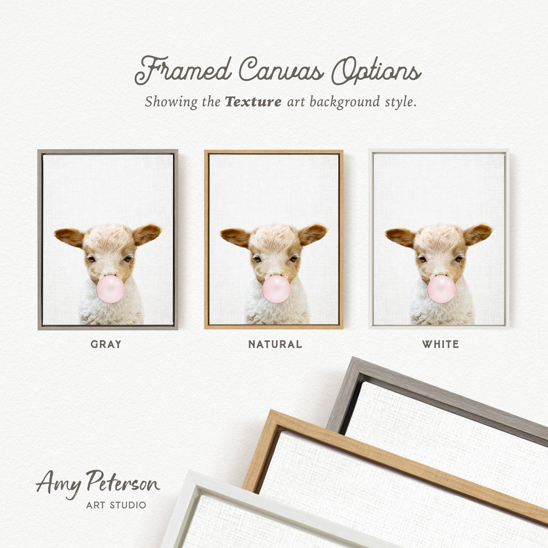 three framed canvas options, each featuring a white lamb with its head blowing a bubble. The options are labeled "GRY", "NATURAL", and "WHITE", indicating the color of the frame. The text " Framed Canvas Options" is displayed above the options, and "Showing the Texture art background style." is written below the lamb images. The artist's name, " Amy Peterson ART STUDIO", is also present in the image.