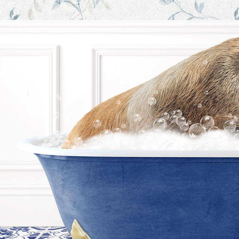 a dog taking a bath in a blue bathtub