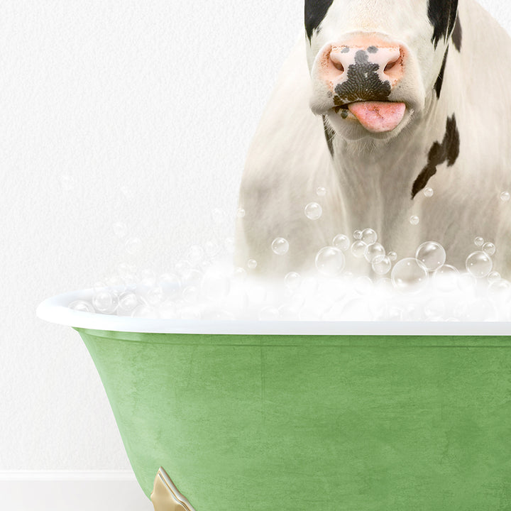 a cow sticking its head out of a bathtub filled with bubbles