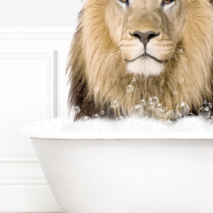 a lion sitting in a bathtub with bubbles