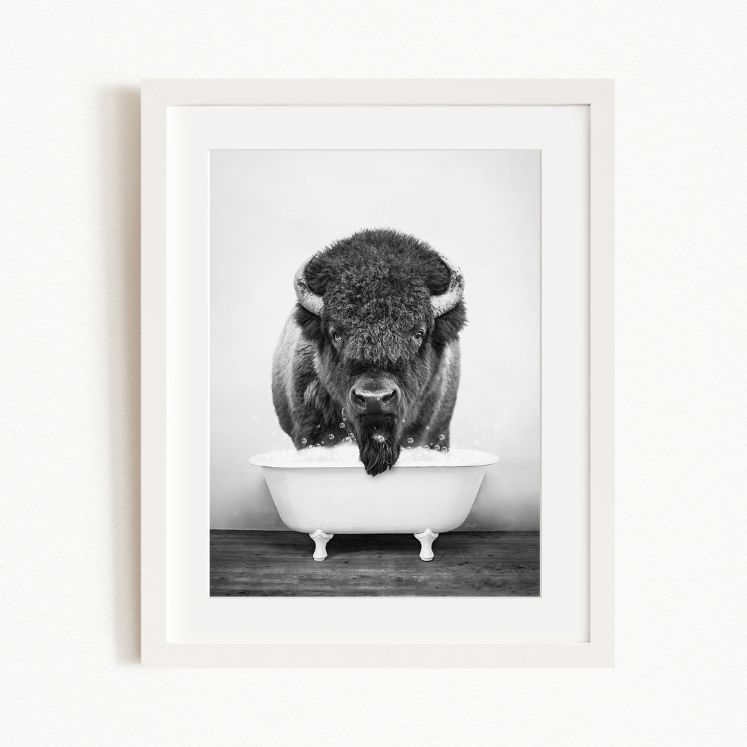A black and white photograph of a buffalo standing in a white bathtub.