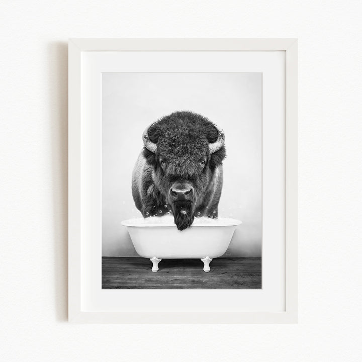 A black and white photograph of a buffalo standing in a white bathtub.