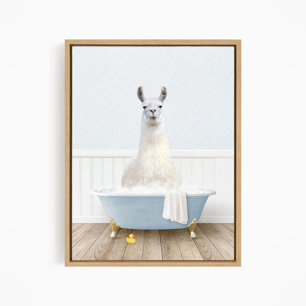 A white llama sitting in a blue bathtub filled with water, surrounded by yellow rubber ducks.