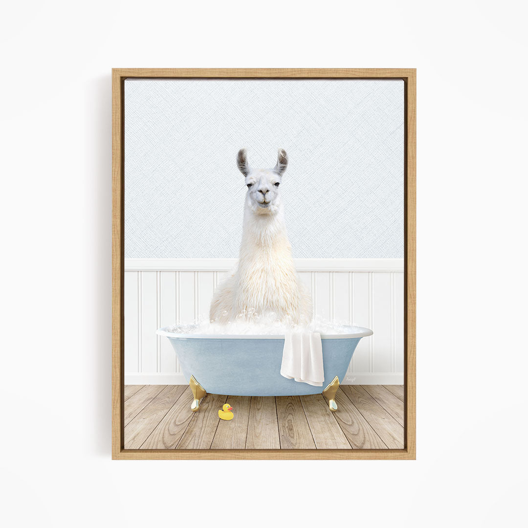 A white llama sitting in a blue bathtub filled with water, surrounded by yellow rubber ducks.