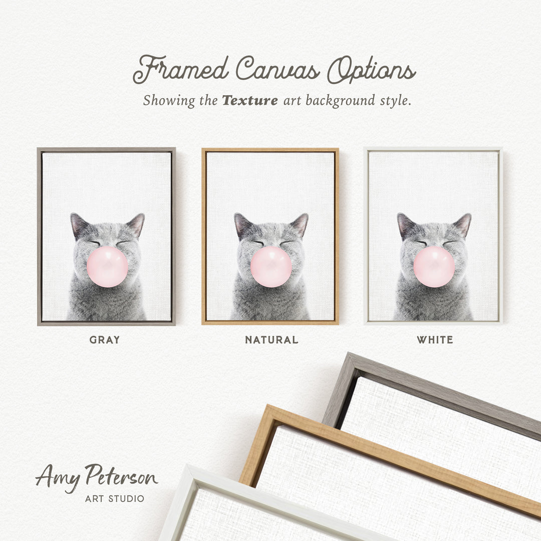 three framed pictures of a cat blowing a bubble with a pink bubblegum bubble. The pictures are arranged in a row, with the first picture being in a gray frame, the second picture in a natural frame, and the third picture in a white frame. The text above the pictures reads " Framed Canvas Options" and "Showing the Texture art background style."