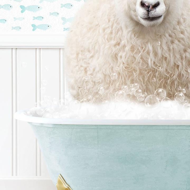 a sheep is sitting in a bathtub with bubbles