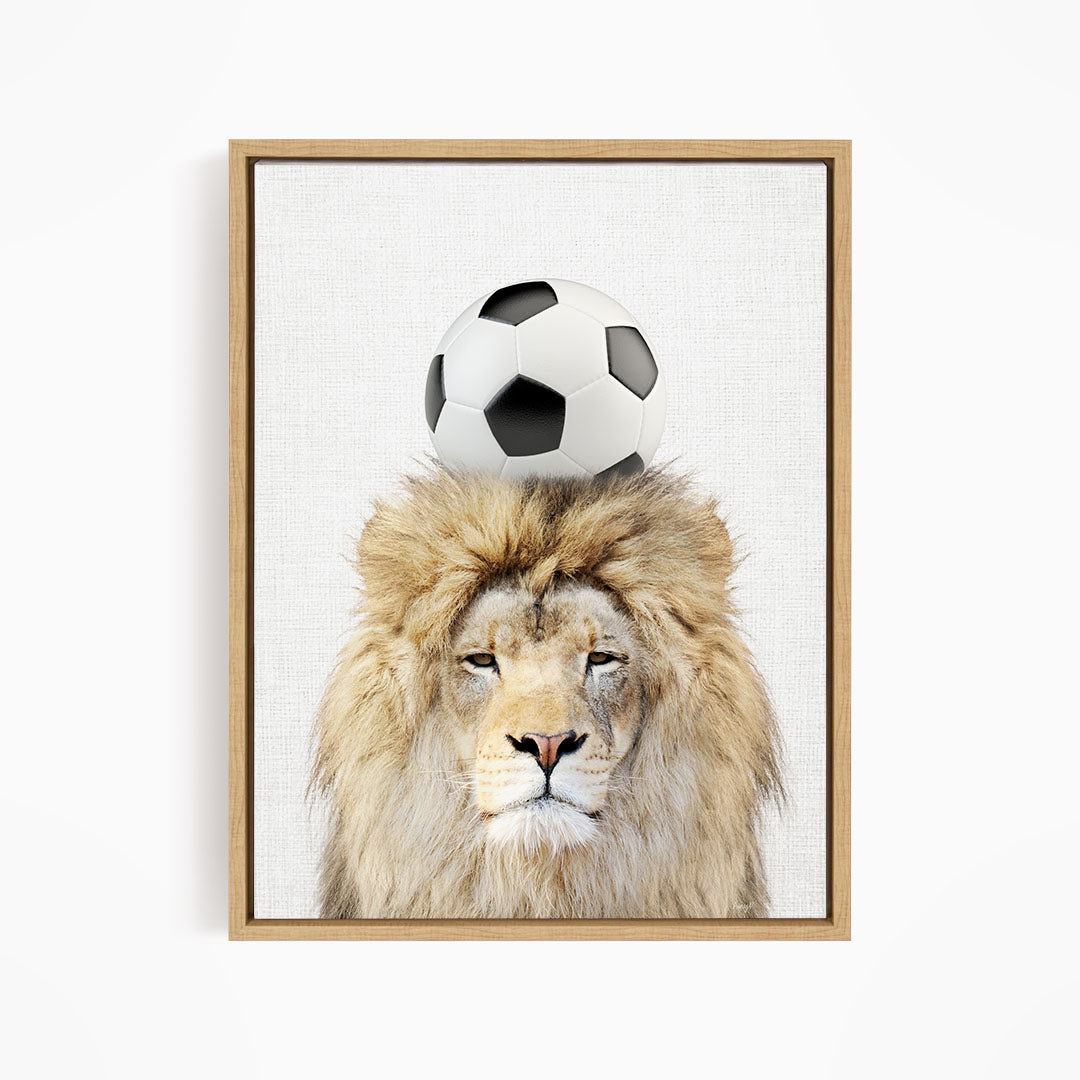 A framed image of a lion with a soccer ball on its head.