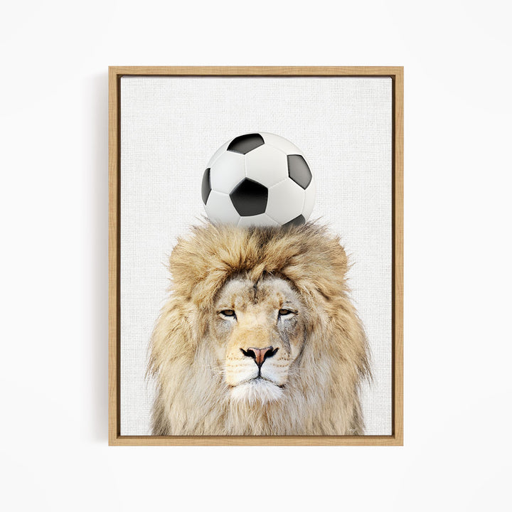 A framed image of a lion with a soccer ball on its head.