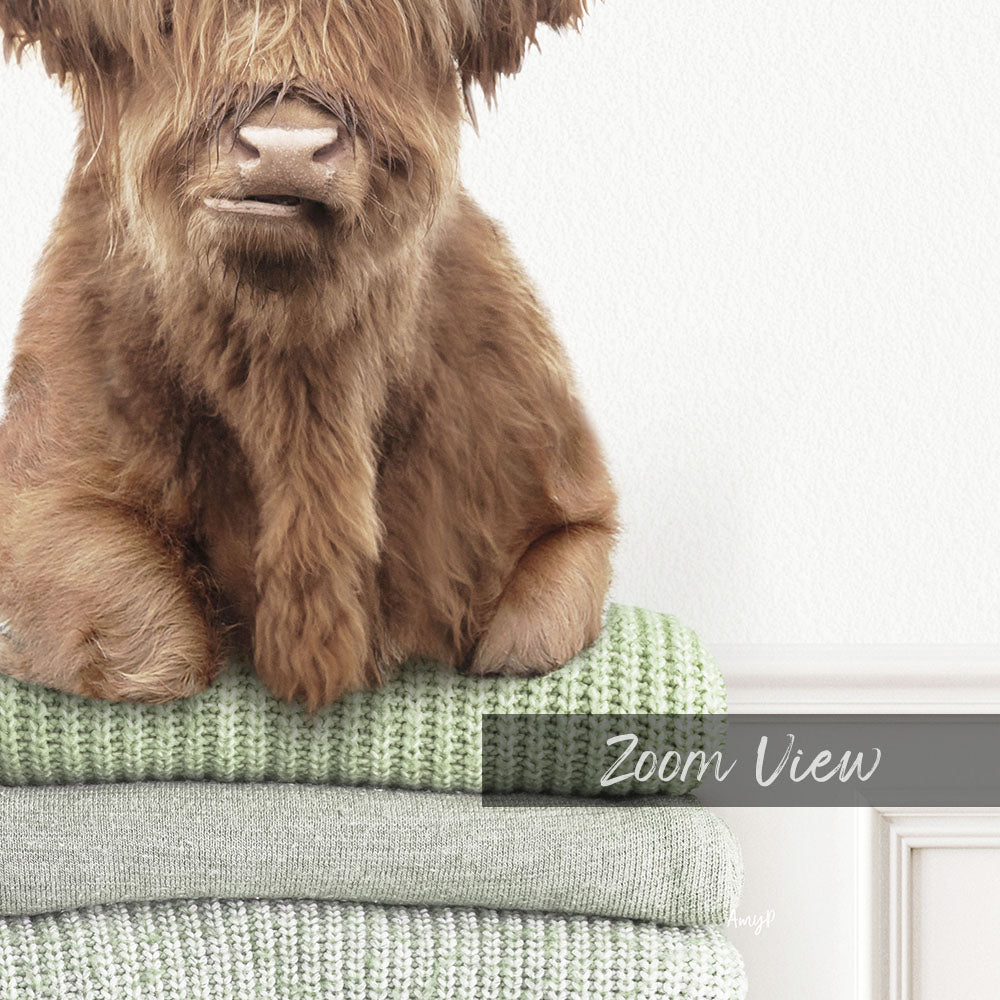 A close-up of a brown dog sitting on top of a stack of green and white blankets, with the text "Zoom View" overlaid on the image.