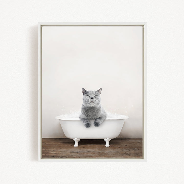 A gray cat sitting in a white bathtub, with its eyes closed, against a plain white background.
