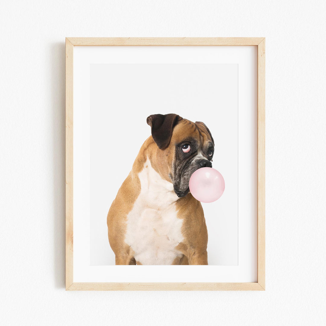 a brown and white dog with a pink bubble in it's mouth