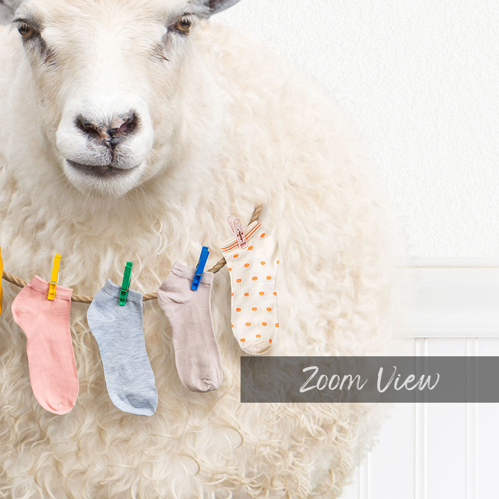 A fluffy white sheep with a pile of colorful socks hanging on a clothesline.