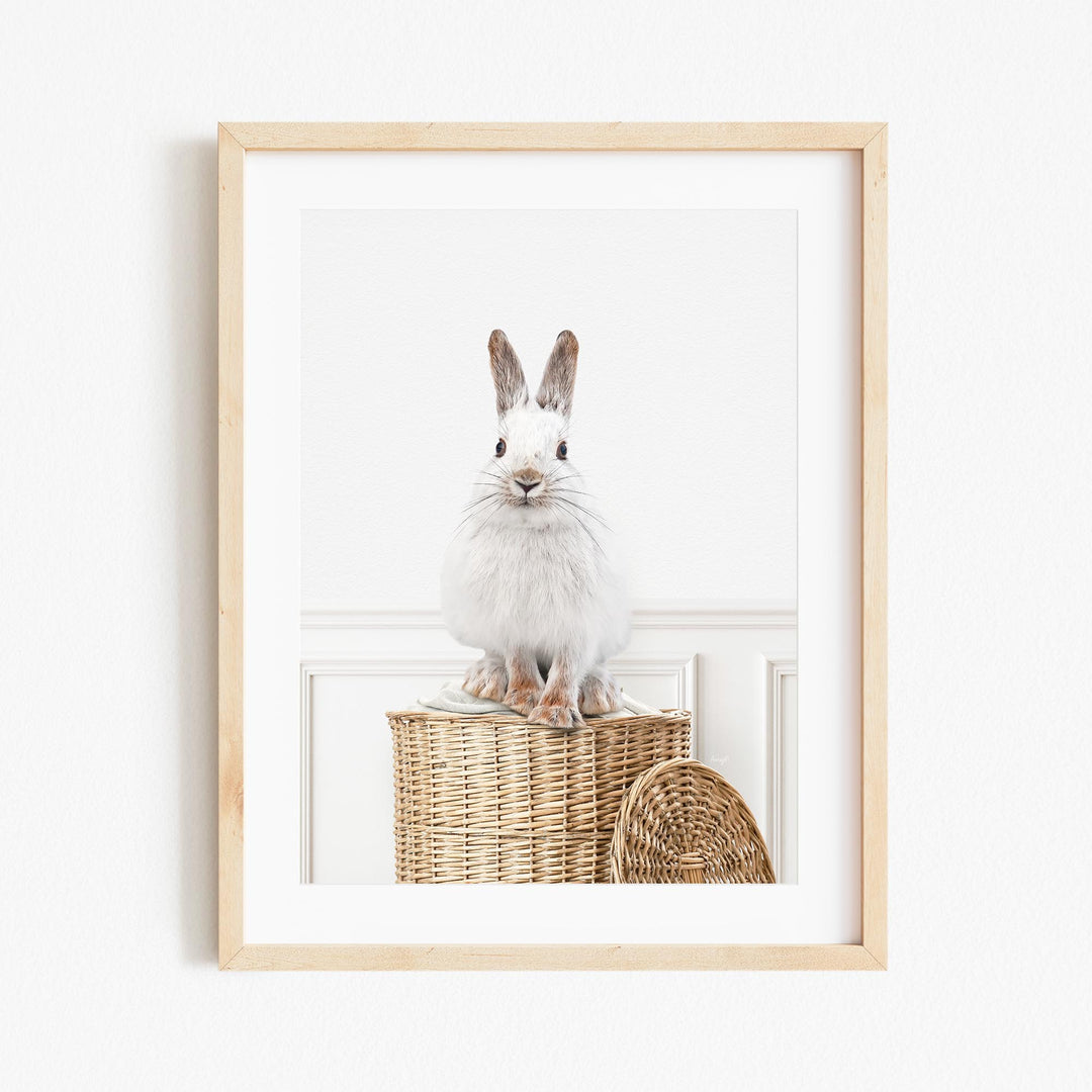 a white rabbit sitting on top of a basket