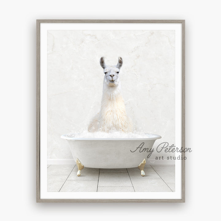 a llama in a bathtub with a white background