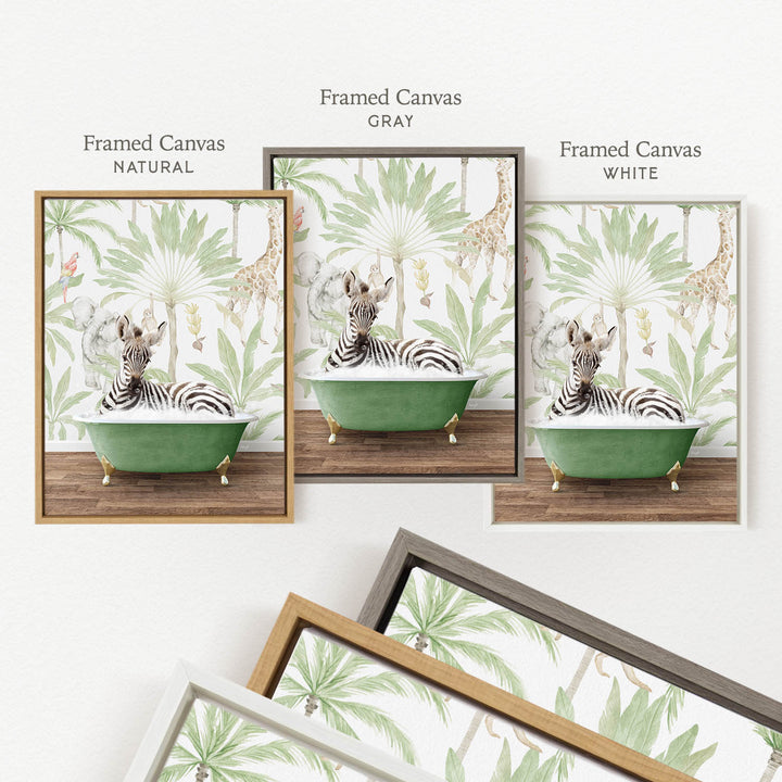 three framed prints of a zebra sitting in a green bathtub, surrounded by tropical foliage. The prints are labeled as " Framed Canvas" in different colors: "Natural", "Grays", and "White".