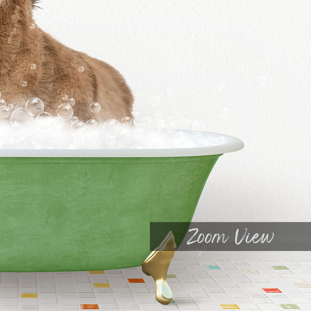 A brown cat sitting in a green bathtub filled with bubbles, with a text overlay that reads "Zoom View".