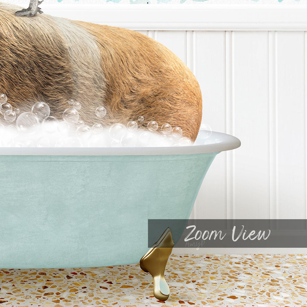 A dog is taking a bath in a blue bathtub filled with bubbles, with a gold faucet and a text overlay that reads "Zoom View".