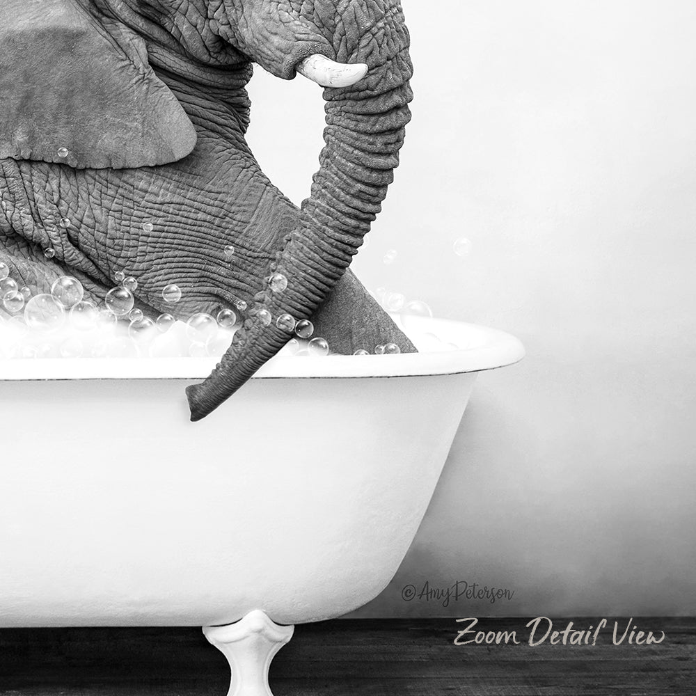 A large elephant is sitting in a white bathtub filled with bubbles, creating a whimsical and playful scene.