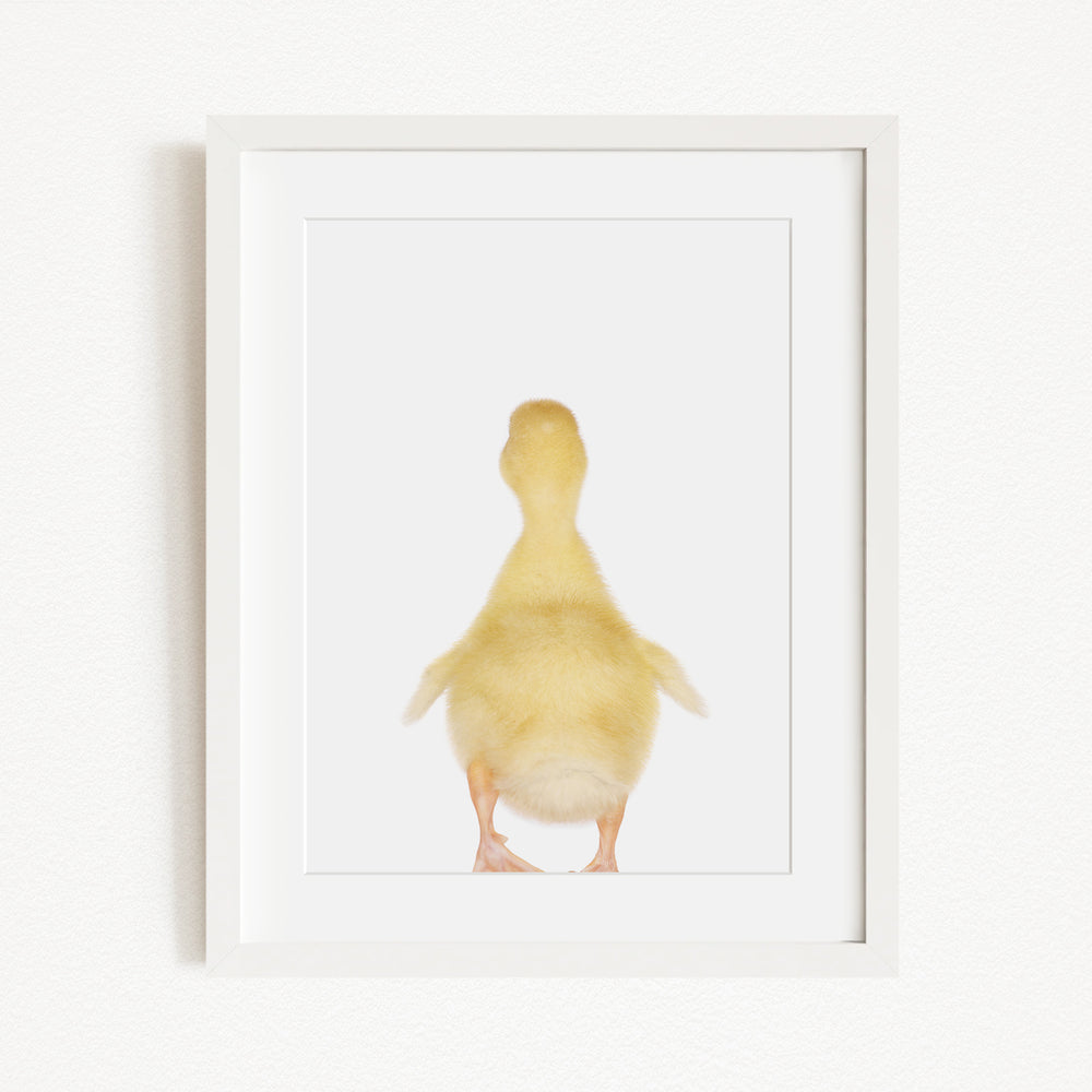A small, yellow duck standing upright in a white frame.