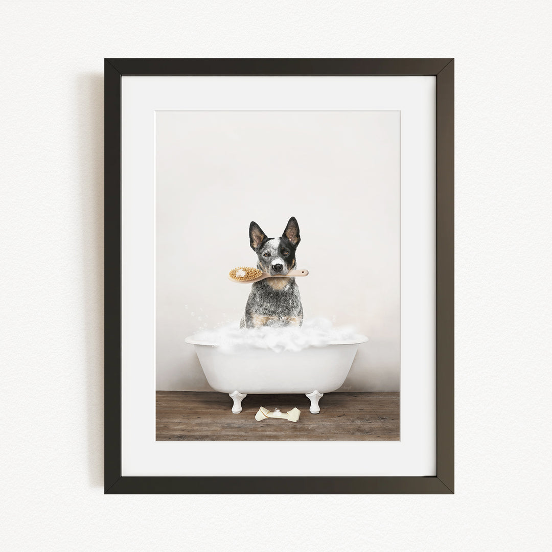 A black and white dog sitting in a white bathtub, holding a toy in its mouth.