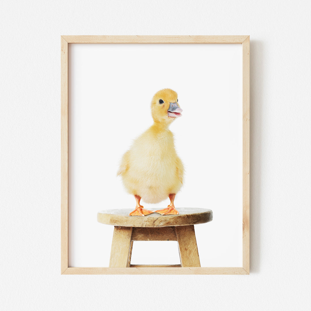 a duck sitting on top of a wooden stool