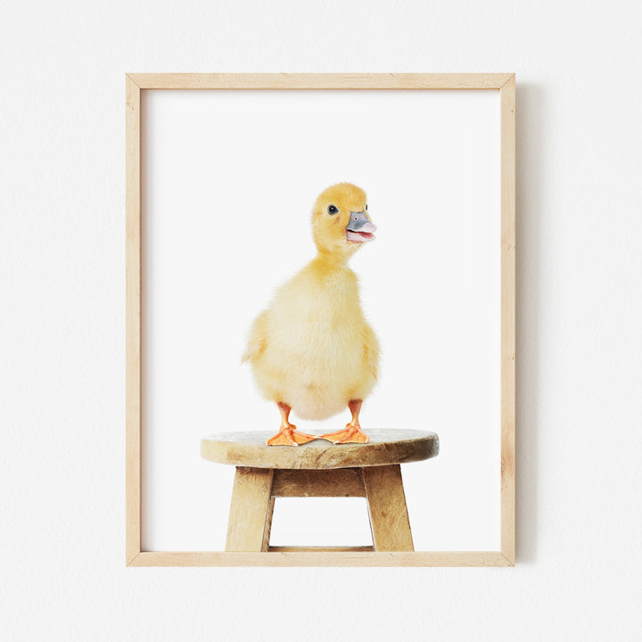 a duck sitting on top of a wooden stool