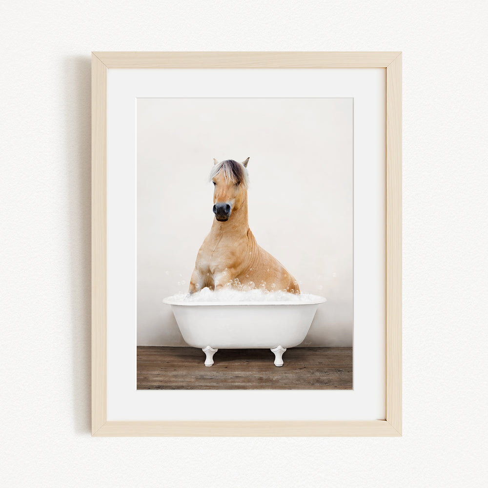 A light brown horse is sitting in a white bathtub filled with water, creating a whimsical and playful scene.