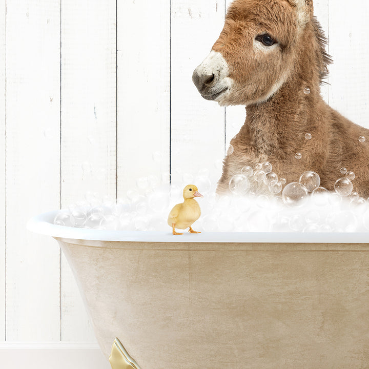 a donkey in a bathtub with bubbles and a rubber duck