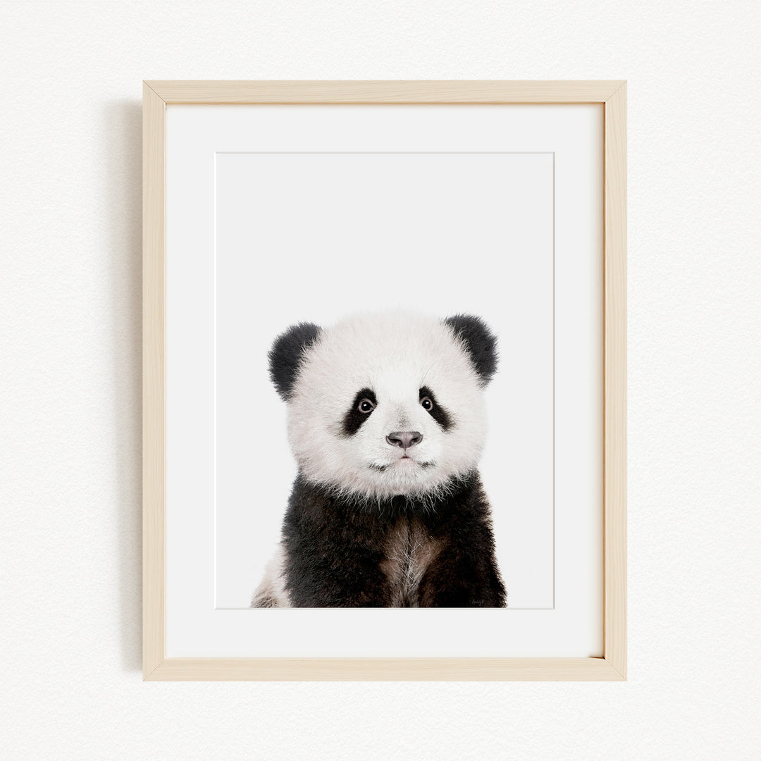A panda bear with black and white fur is the focus of the image, which is a framed print hanging on a wall.