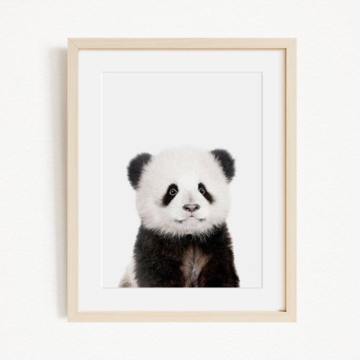A panda bear with black and white fur is the focus of the image, which is a framed print hanging on a wall.