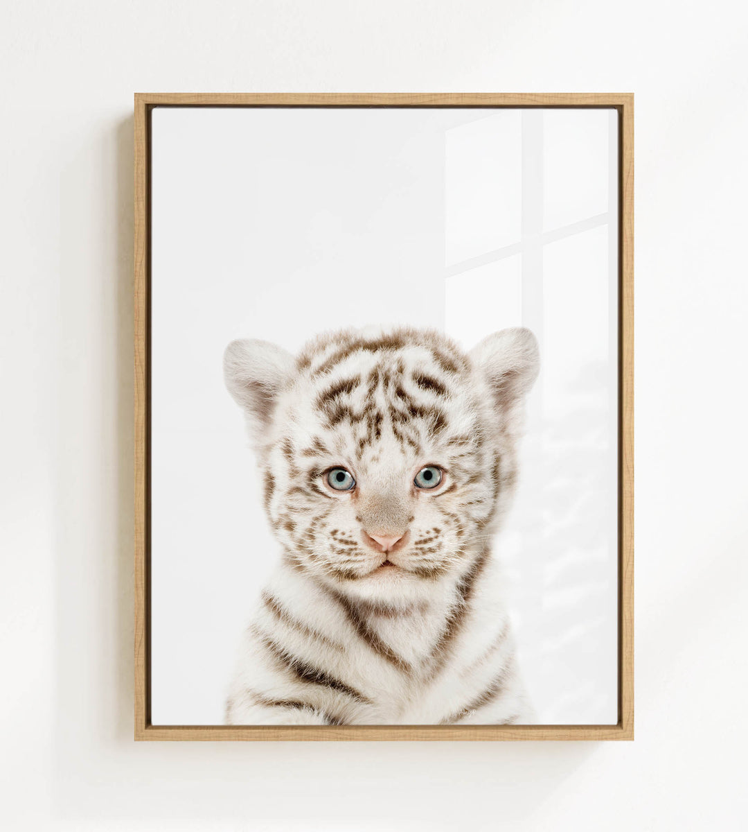 A young tiger cub with striking blue eyes and a playful expression is the focal point of the framed image.
