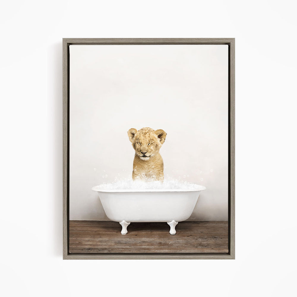 A young lion cub sitting in a white bathtub filled with water, looking up at the camera.