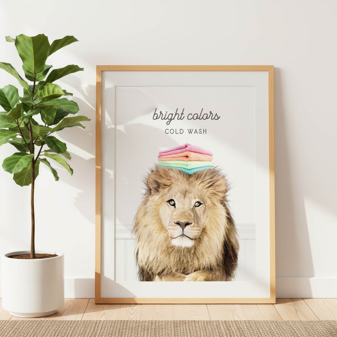 A framed poster featuring a close-up of a lion's face with a stack of colorful towels on its head, accompanied by the text "bright colors" and "COLD WASH".