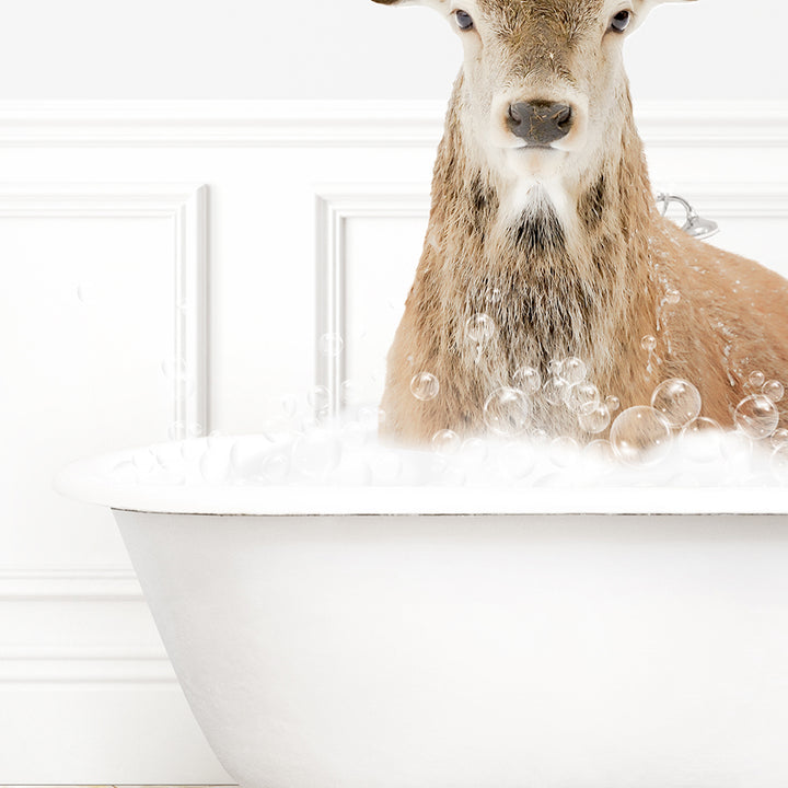 a deer in a bathtub with bubbles of water