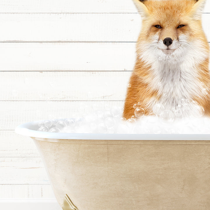 a red fox sitting in a bathtub with bubbles