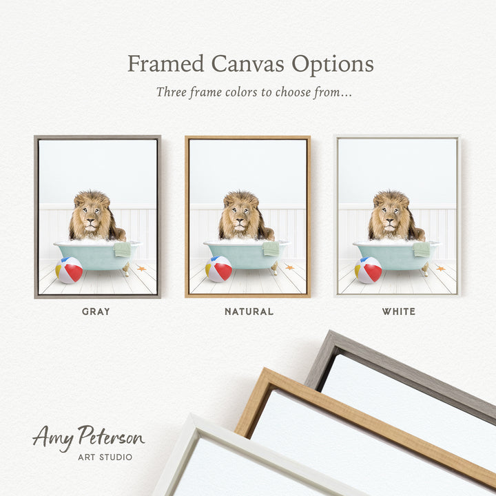 The image is a framed canvas option showcasing three different frame colors: gray, natural, and white. The canvas features a lion sitting in a bathtub with a beach ball and a starfish nearby.