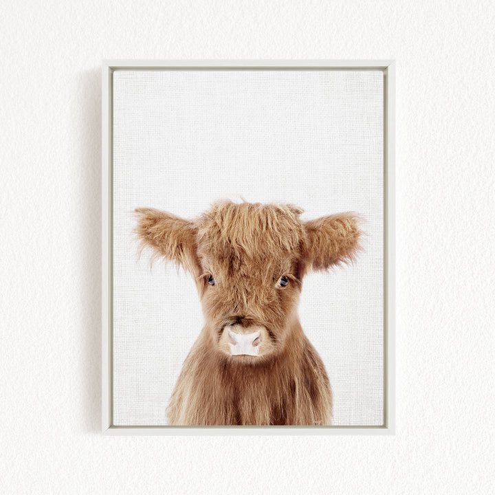 A close-up portrait of a brown cow with shaggy fur and large, expressive eyes.