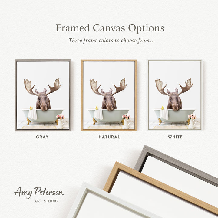 three framed canvas options featuring a moose in a bathtub, with each option having a different frame color.