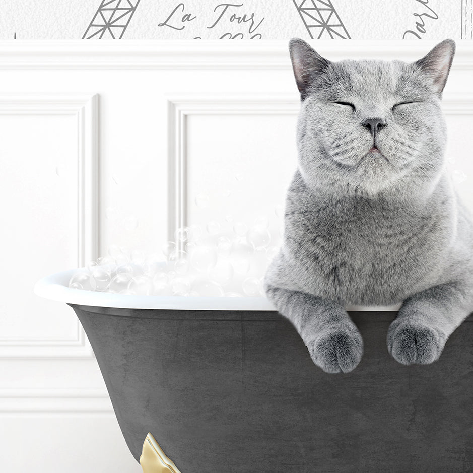 a cat is sitting in a bathtub with its eyes closed