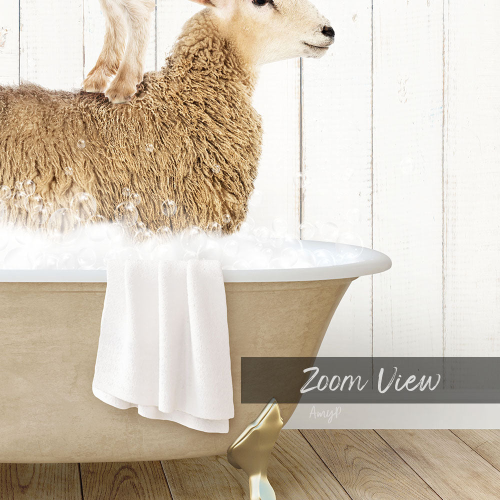 A sheep is sitting in a bathtub filled with water, with a towel draped over the side of the tub.