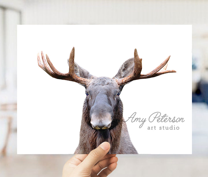 a person holding up a card with a picture of a moose