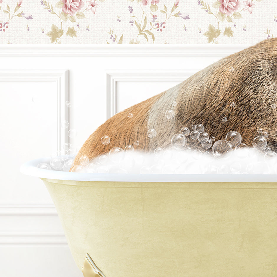 a dog taking a bath in a bathtub