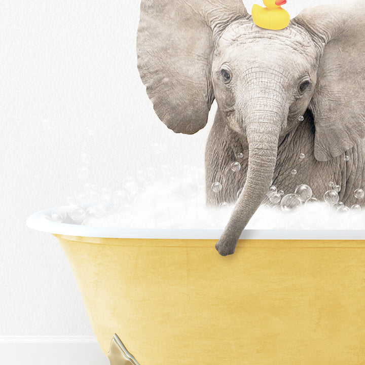 an elephant in a bathtub with a rubber ducky on its head